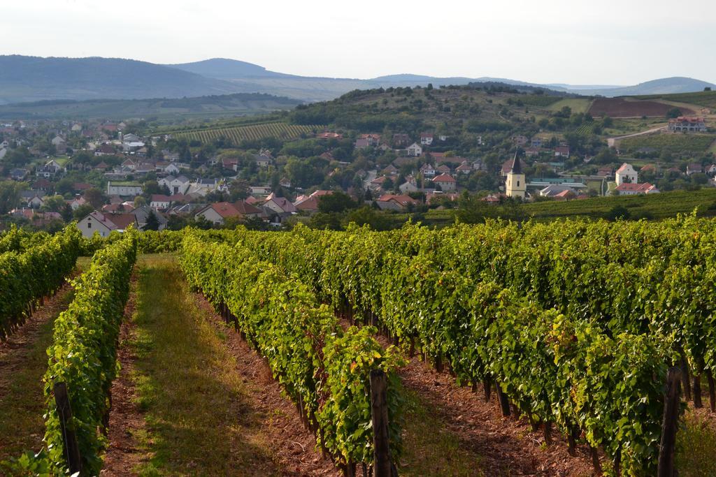 R40 Vendégház Mád Exterior foto